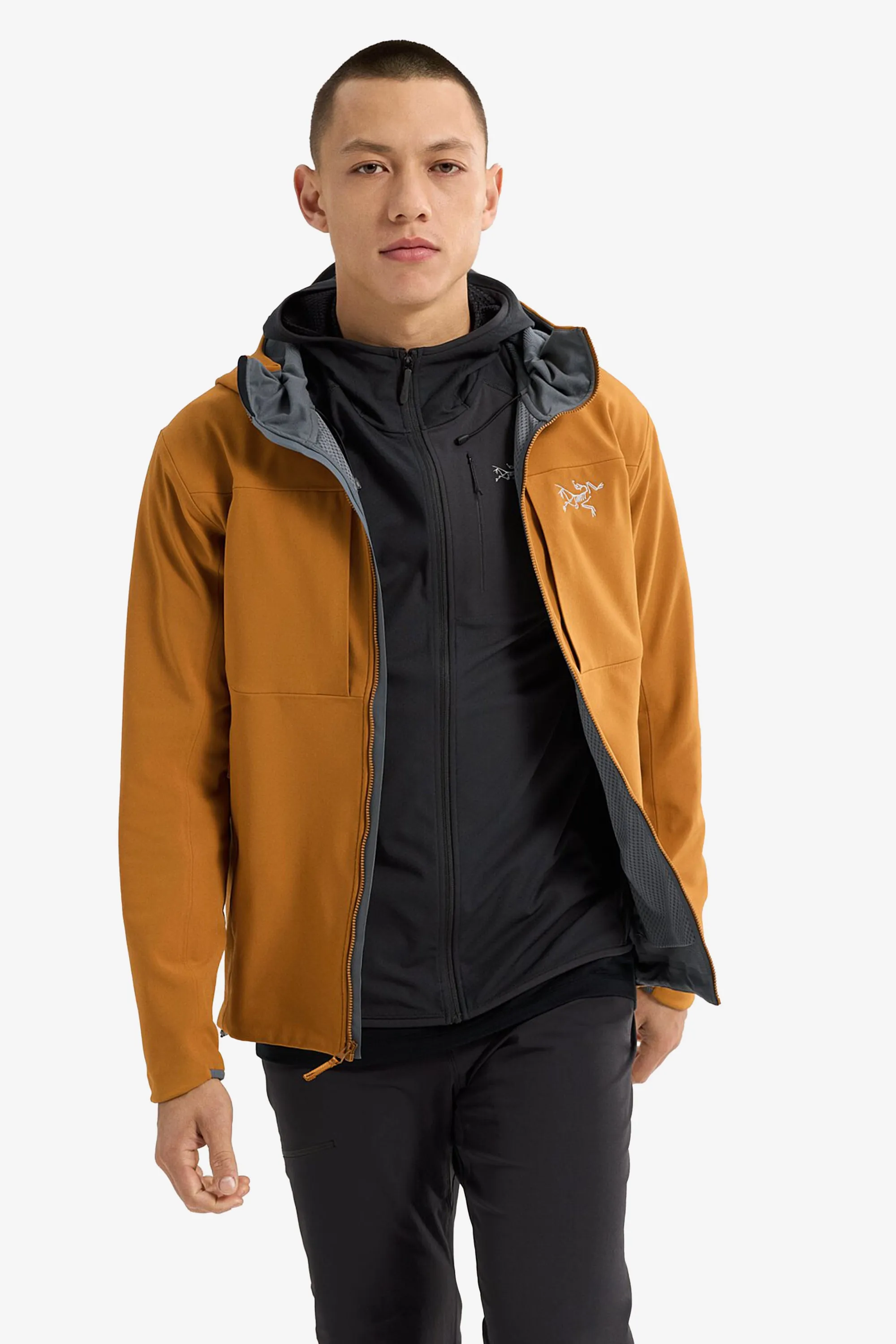 Arc'teryx Men's Beta LT Jacket in Yukon