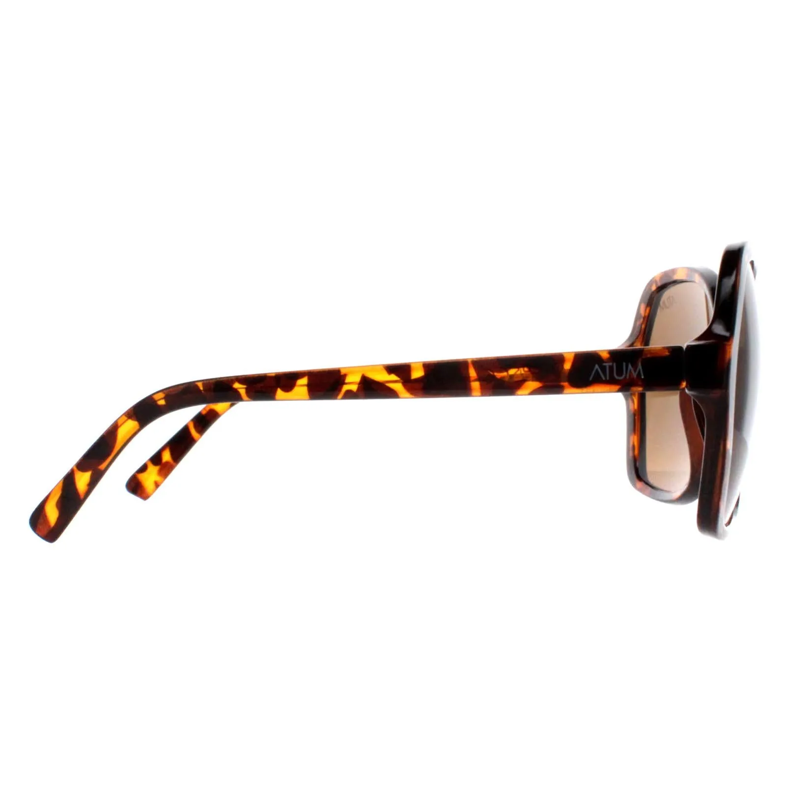 Atum Sunglasses Aelius C2 Shiny Havana Brown Gradient