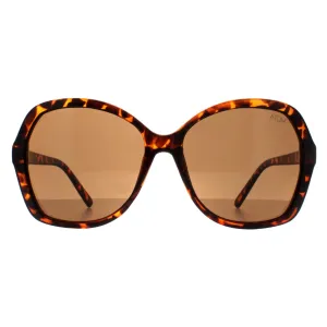 Atum Sunglasses Aelius C2 Shiny Havana Brown Gradient