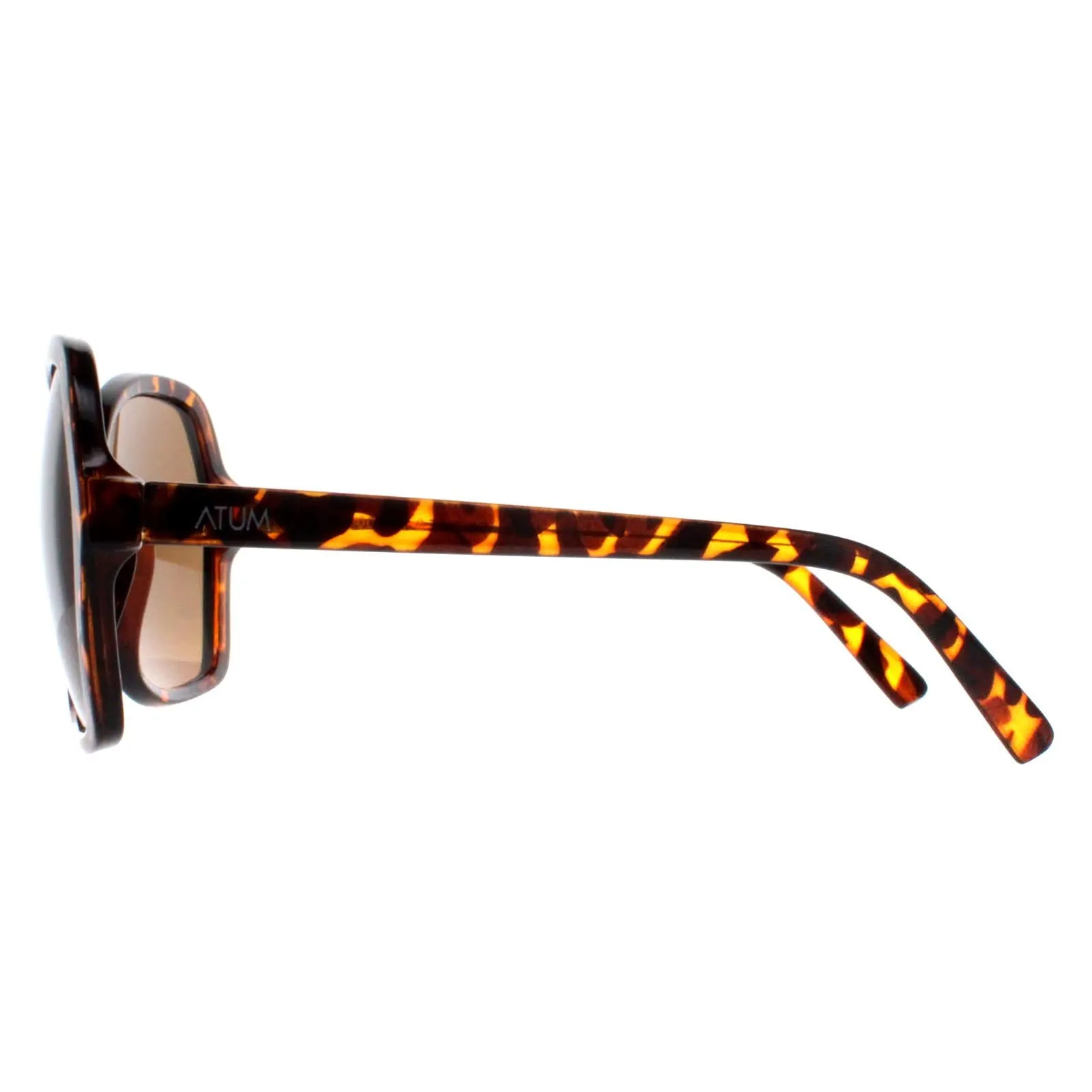 Atum Sunglasses Aelius C2 Shiny Havana Brown Gradient