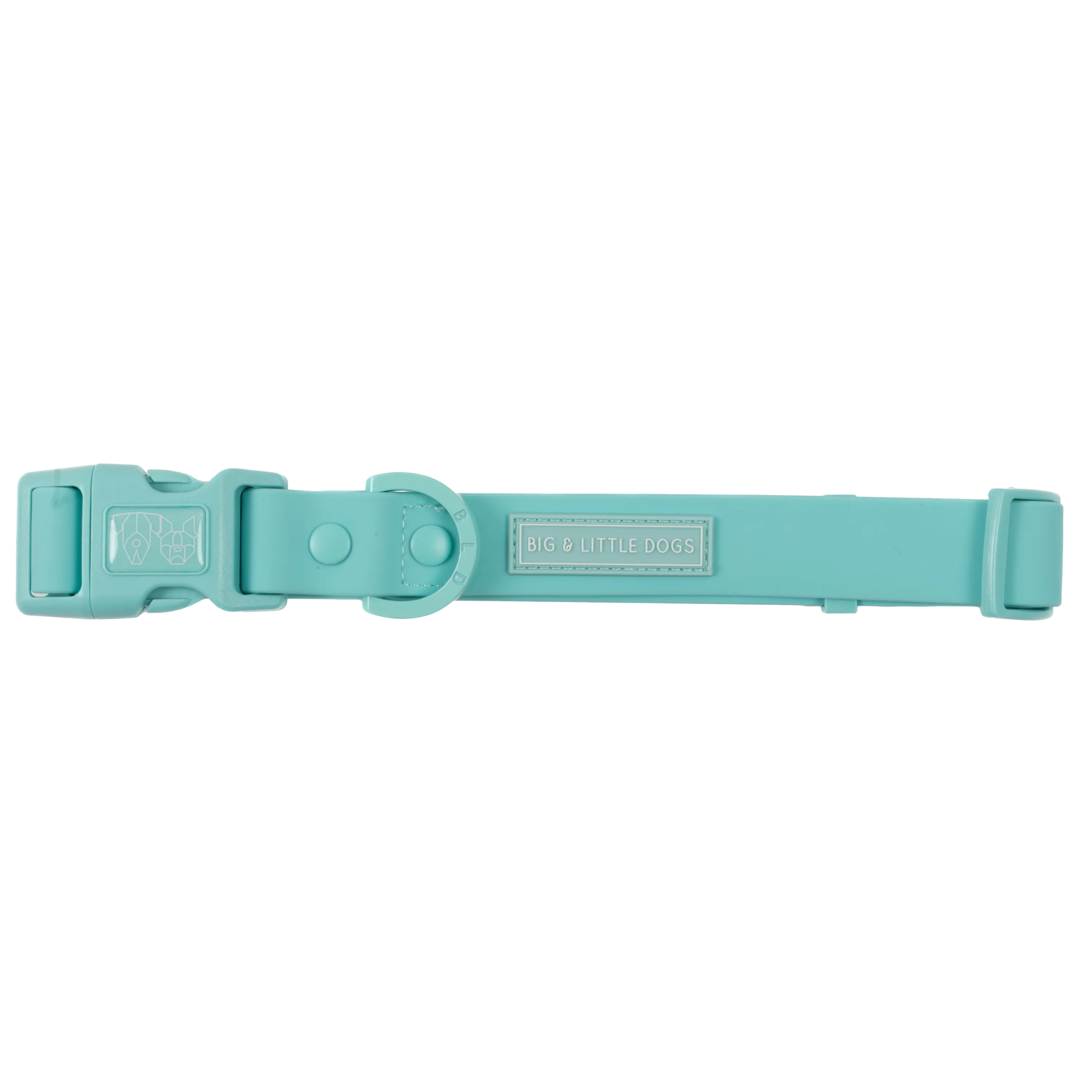 Big & Little Dogs Waterproof Dog Collar - Aqua