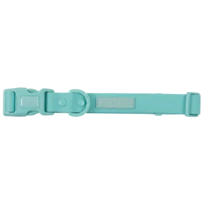 Big & Little Dogs Waterproof Dog Collar - Aqua