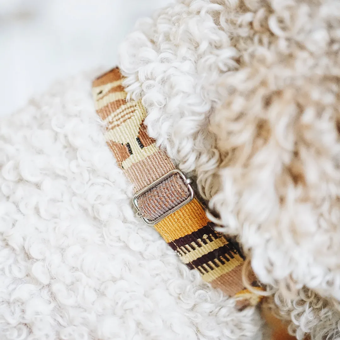 Boho Chic Dog Collar: Stylish and Sustainable