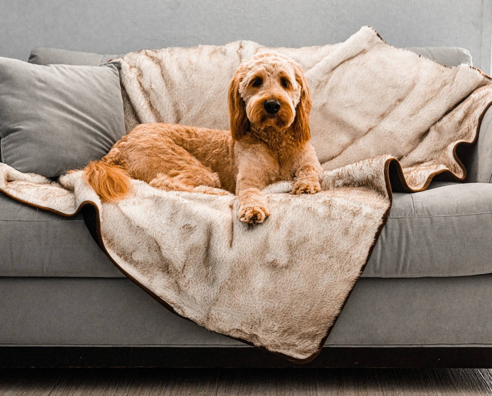 Paw.com x BarkBox PupProtector™ Short Fur Waterproof Throw Blanket - White with Brown Accents