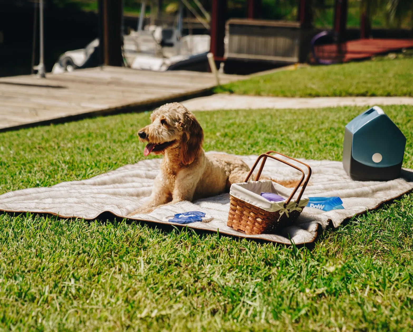 Paw.com x BarkBox PupProtector™ Short Fur Waterproof Throw Blanket - White with Brown Accents