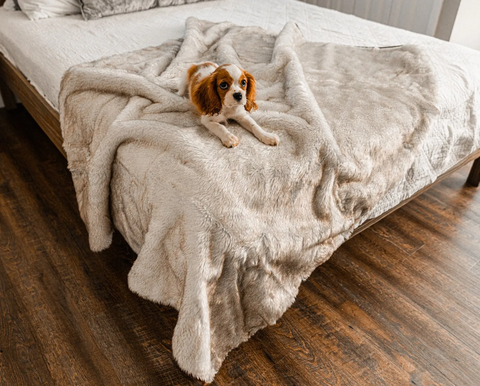 Paw.com x BarkBox PupProtector™ Short Fur Waterproof Throw Blanket - White with Brown Accents