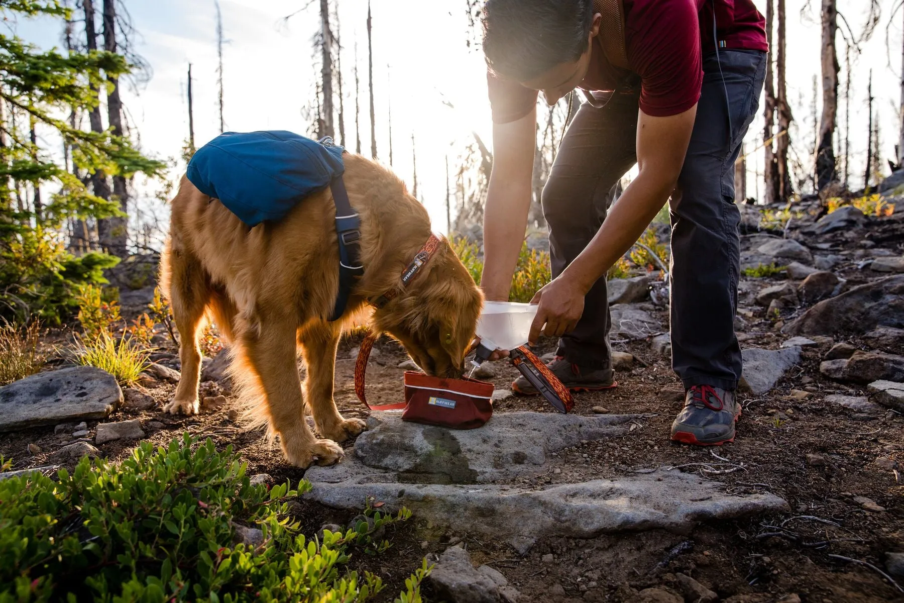 Ruffwear Quencher Collapsible Dog Bowl