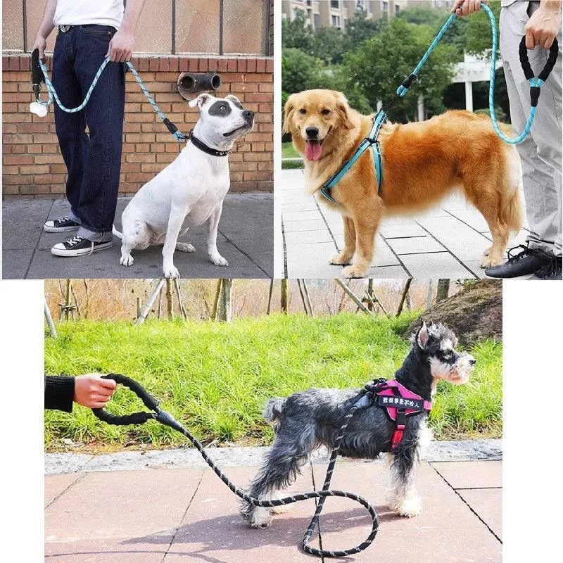 Safety Dog Leash: Stylish Reflective Walking Essential