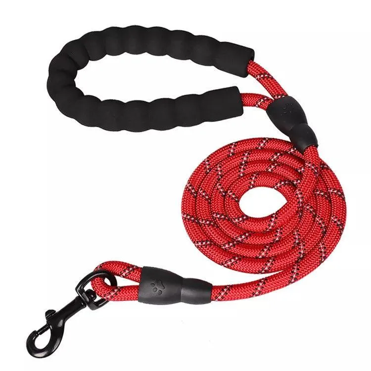 Safety Dog Leash: Stylish Reflective Walking Essential