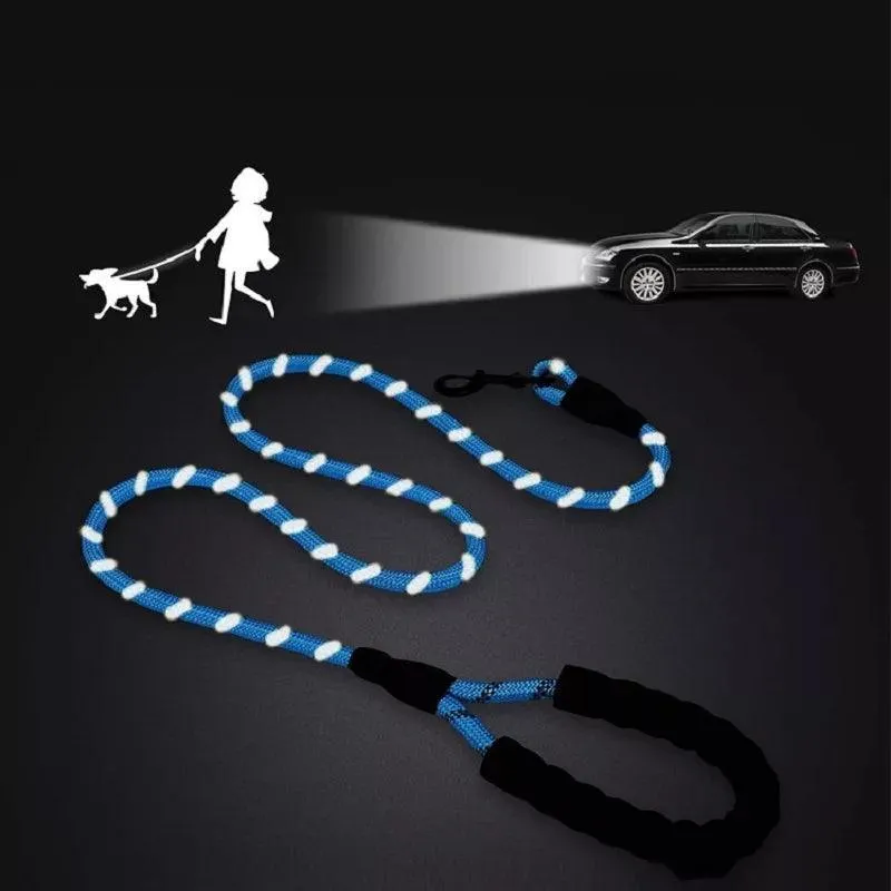 Safety Dog Leash: Stylish Reflective Walking Essential