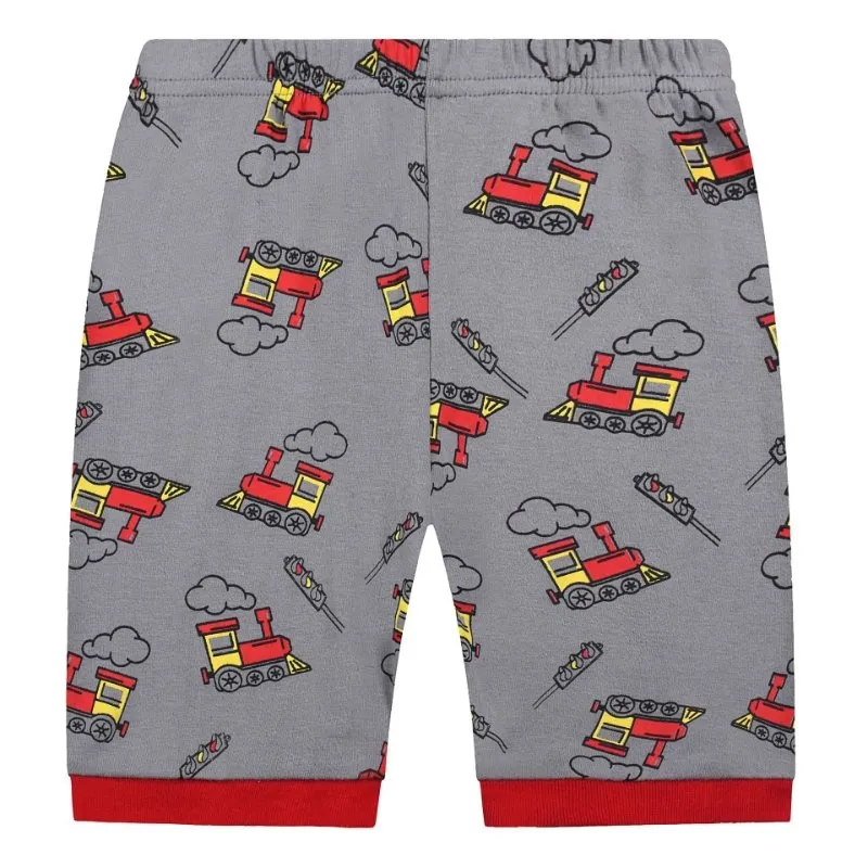 Toddler/Kid Boy's Short Sleeve Train Pattern Pajama Set